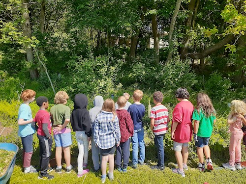 Twelve kids watching a tree being planted