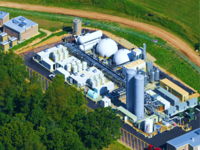 rng plant from above