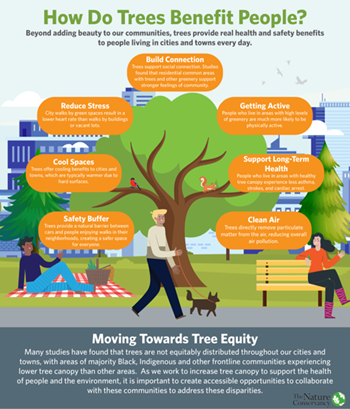 How trees benefit people infographic