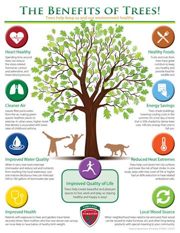 Benefits of trees infographic 