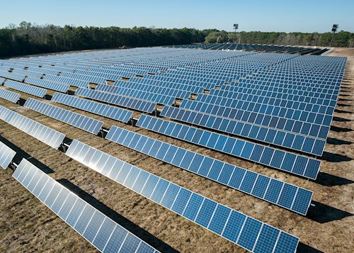 Utility-Scale Solar Farm