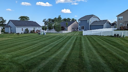 Freshly mowed green lawn with in backyard of homes with blue sky